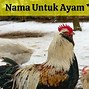 Nama Game Ayam Bertarung Di Laut Yang Bagus